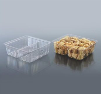 Rectangular Container (2cp)