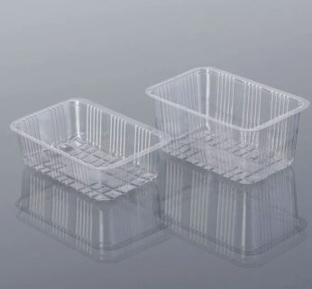 Pastry Container (Small, Big)