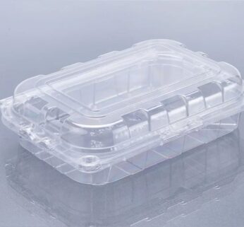 Strawberry Punnet – 240 gms