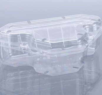 Triangle Kiwi Punnet 3