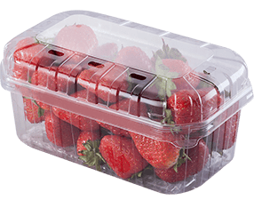 PET Fruit Punnets